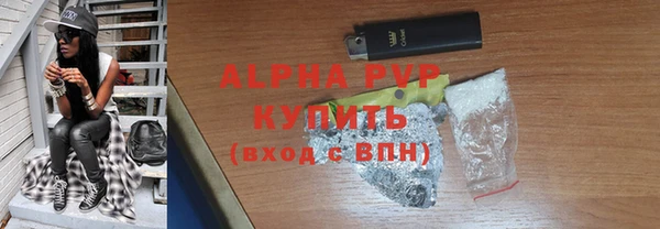 прущие грибы Белокуриха