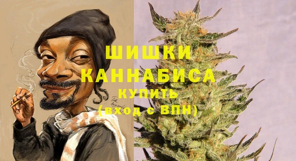 прущие грибы Белокуриха