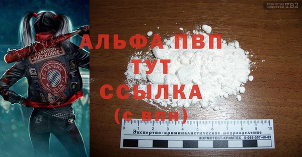 прущие грибы Белокуриха