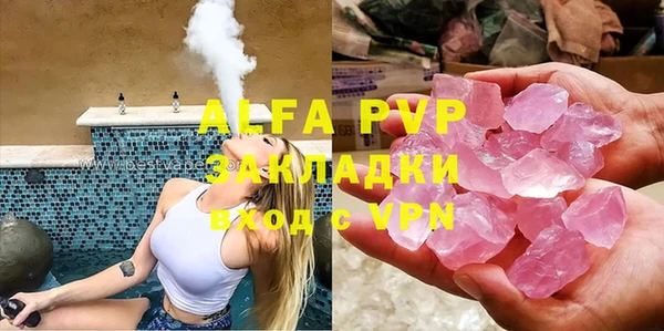 прущие грибы Белокуриха