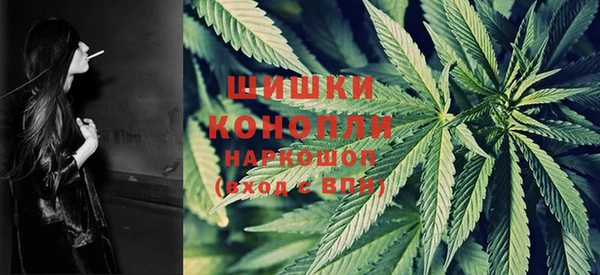 ПСИЛОЦИБИНОВЫЕ ГРИБЫ Белоозёрский