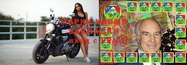 ПСИЛОЦИБИНОВЫЕ ГРИБЫ Белоозёрский