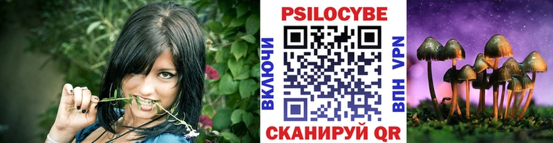 Галлюциногенные грибы Cubensis  OMG рабочий сайт  Полесск 